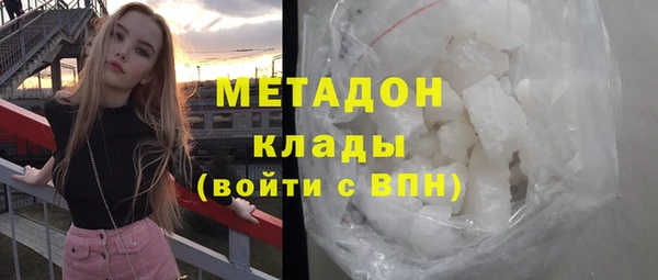 хмурый Аркадак