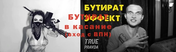 хмурый Аркадак