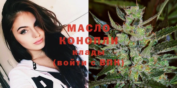 хмурый Аркадак