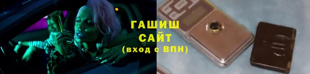 хмурый Аркадак