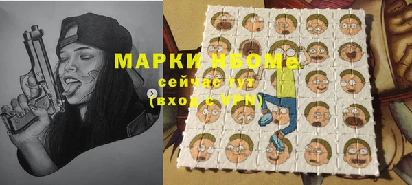 хмурый Аркадак