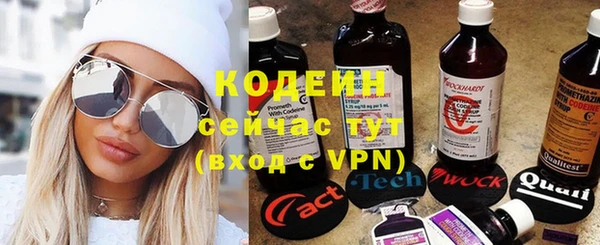 хмурый Аркадак