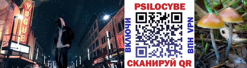 kraken как зайти  Соликамск  Галлюциногенные грибы ЛСД 